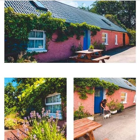 Wisteria Cottage Ballyconnell  Eksteriør bilde